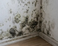 Feuchtigkeit im Keller nach...