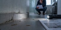 Silberfische beim Wohnungskauf –...